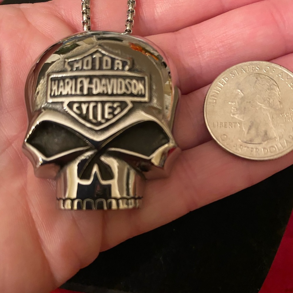Limited! Skull HD Necklace